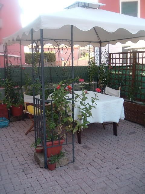 fiori086.jpg