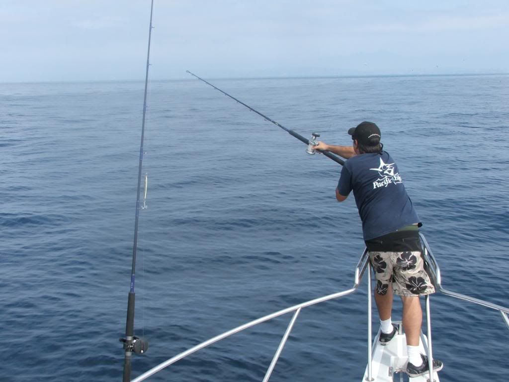 Offshore - I LOVE MARLIN FISHING !!! 9-27/28 report | Bloodydecks