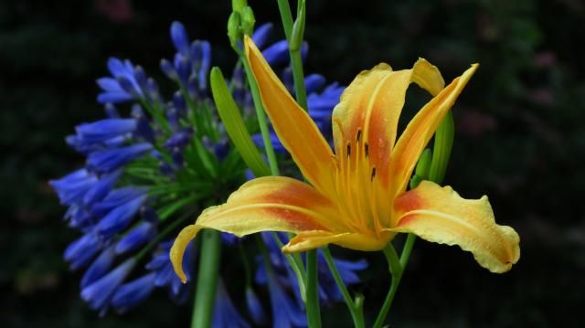  photo IMG_0610PS.jpg