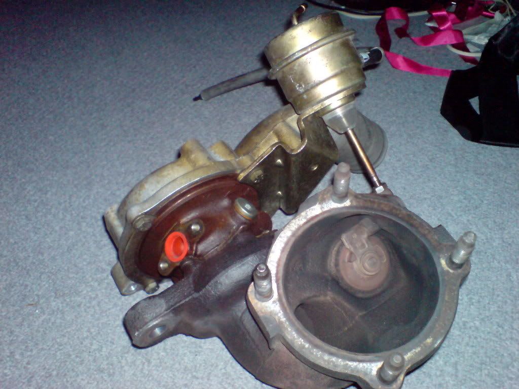 DSC00781.jpg