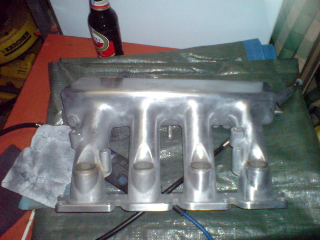 DSC01033.jpg