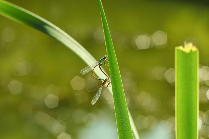 34bfe0da-d720-4a3c-a669-ca52802e0cbc.jpg