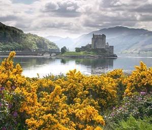 highland castle Pictures, Images and Photos