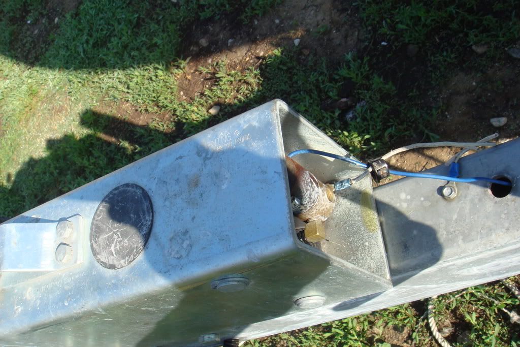 Bleed surge brakes? Bloodydecks