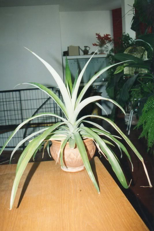 img011.jpg