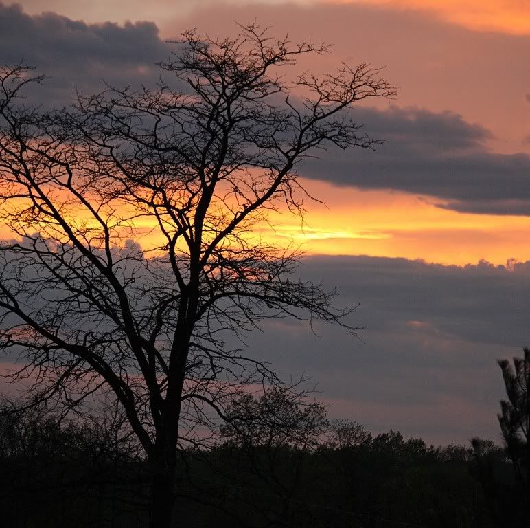 IMAGE: http://i307.photobucket.com/albums/nn309/Glockamole9/Image00001.jpg