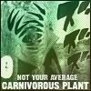 zetsu-1.jpg Zetsu the carnivorous plant image by RockLeesLilShadow