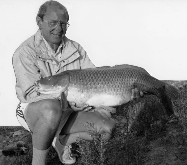 common carp facts. of a 48lb common carp with