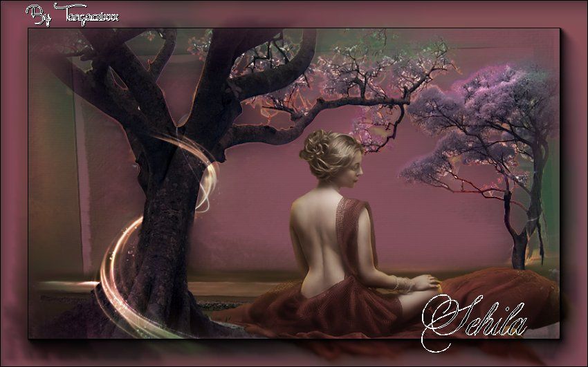  photo sehila_zpsd624102f.jpg