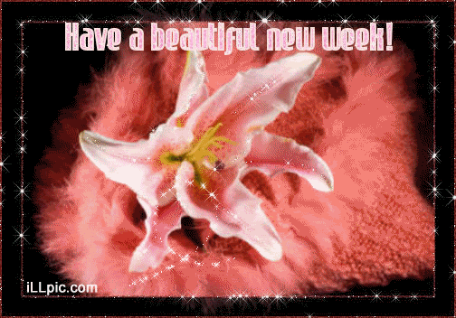 Week2.gif BeautifulNewWeek image by Caillean1