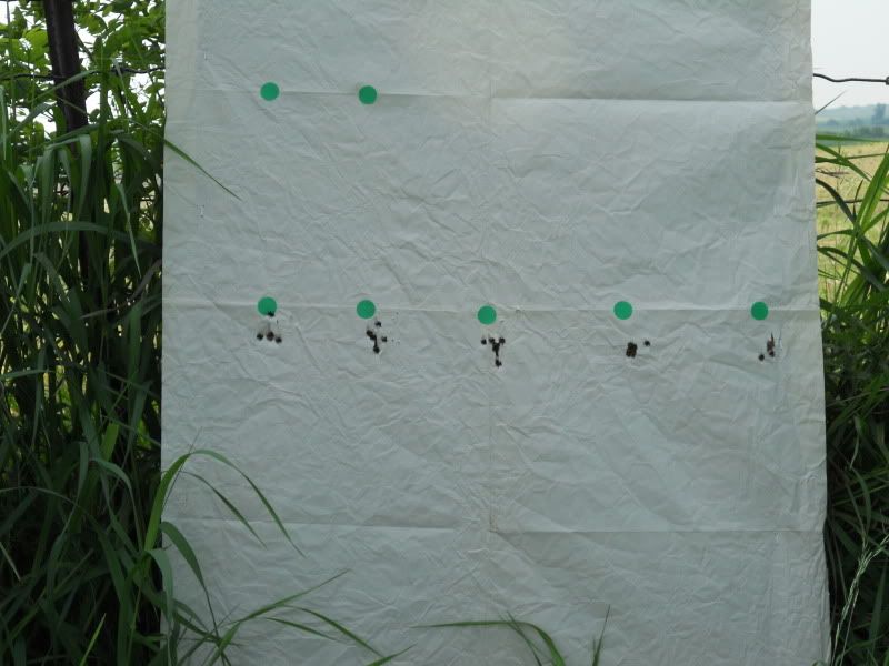5-30-2010006.jpg