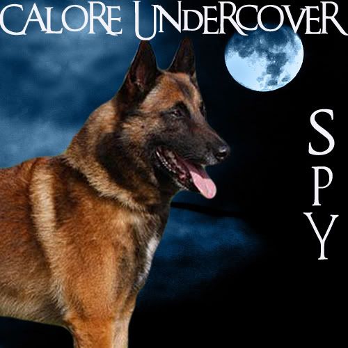 Calore Undercover