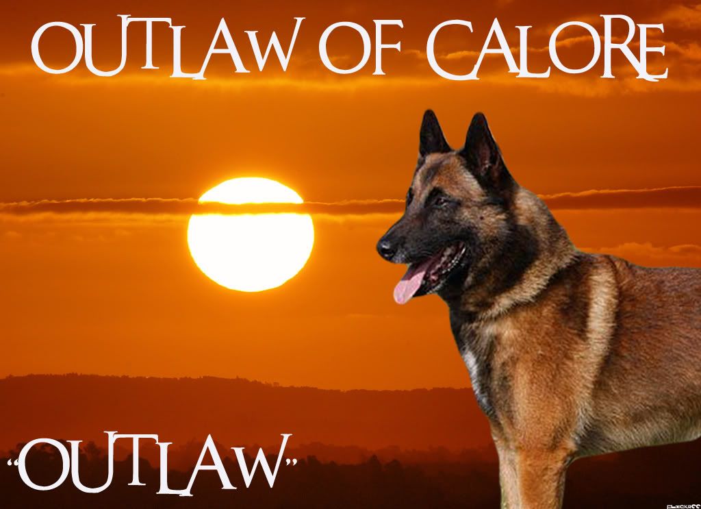 Outlaw Of Calore