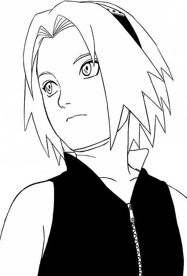 [Image: Sakura-1-1.jpg]