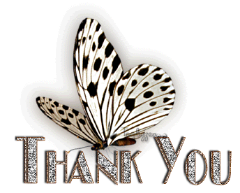 Thank you Butterfly