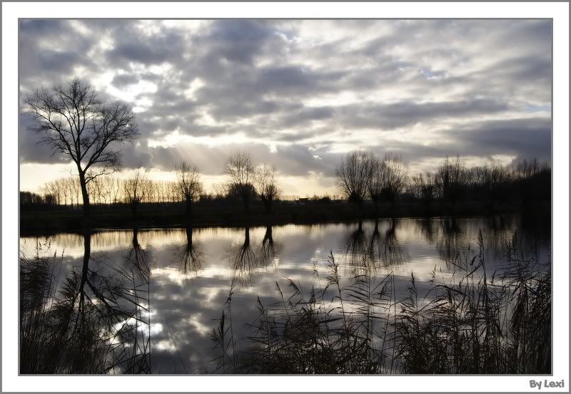 Fotografie