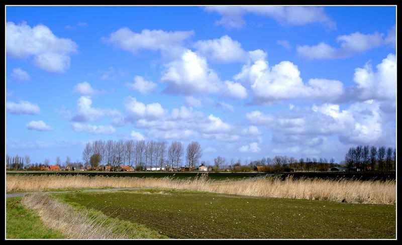Fotografie