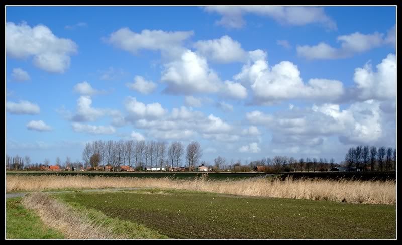 Fotografie