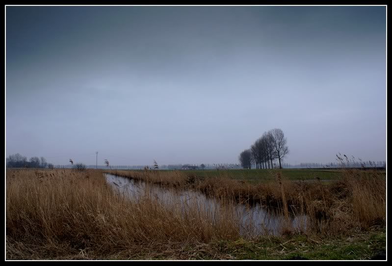 Fotografie