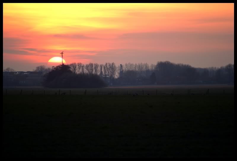 Fotografie
