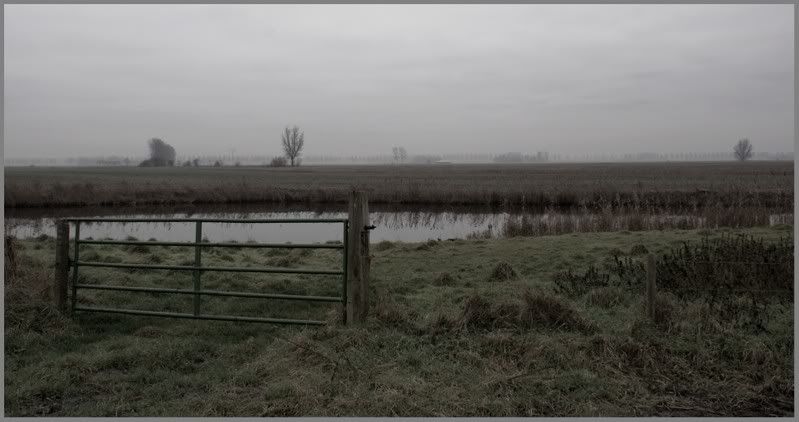 Fotografie