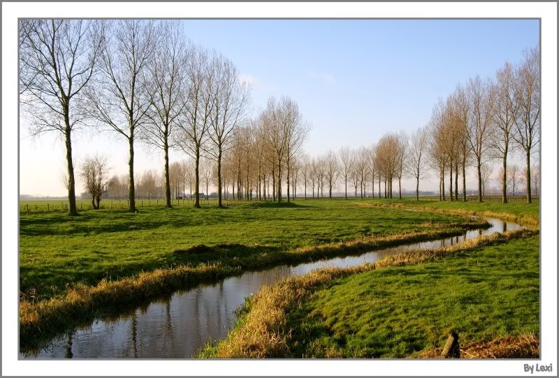 Fotografie