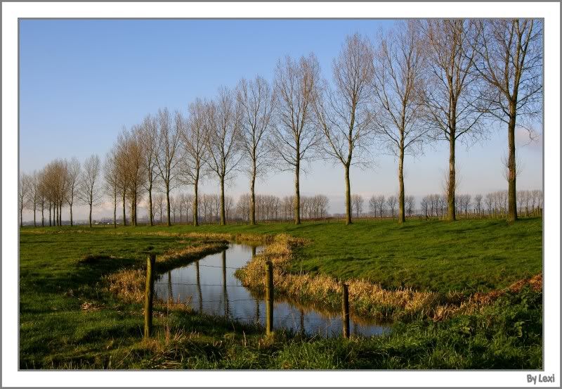 Fotografie