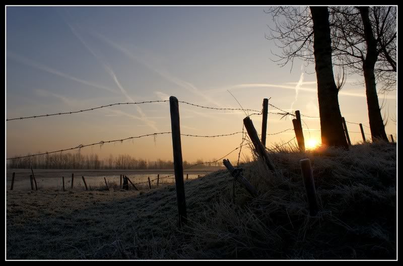 Fotografie