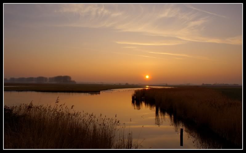 Fotografie