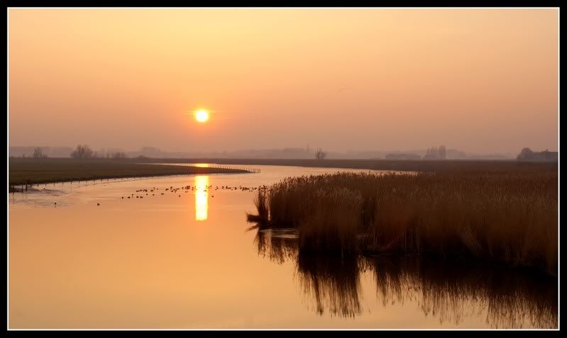 Fotografie