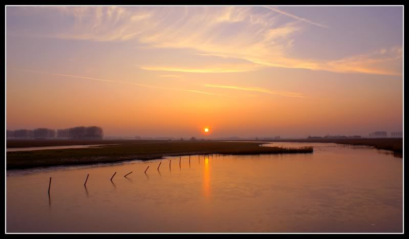 Fotografie