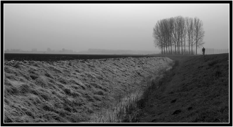 Fotografie