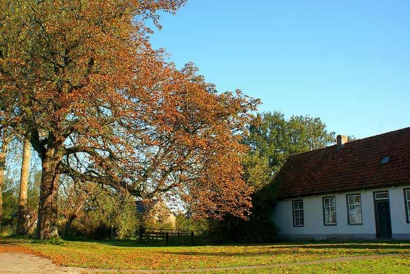 Fotografie