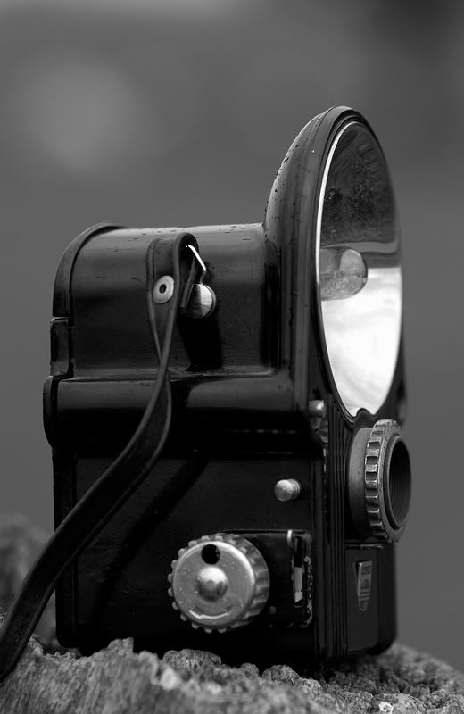 Fotografie