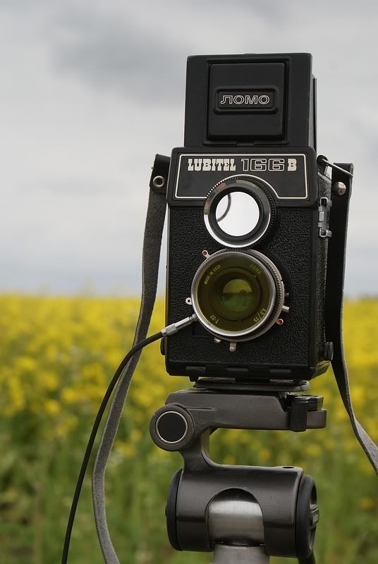 Fotografie