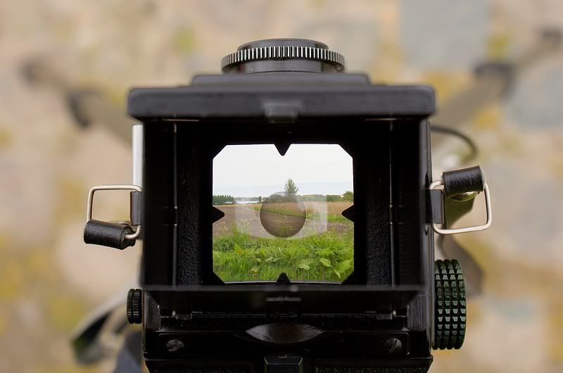 Fotografie