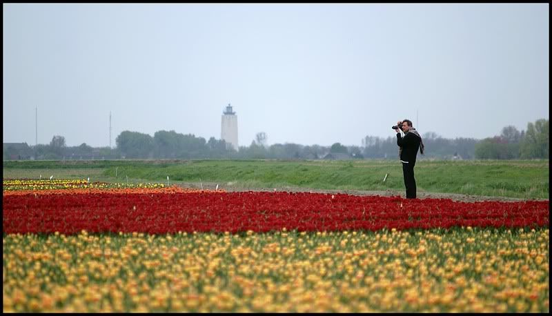 Fotografie