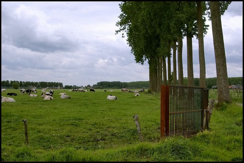 Fotografie