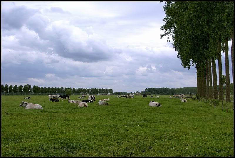 Fotografie