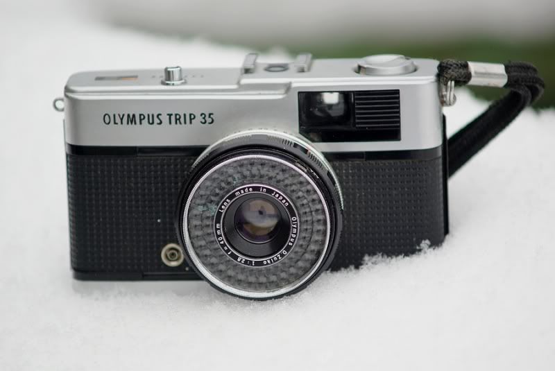Fotografie