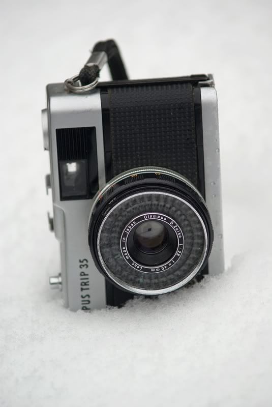 Fotografie