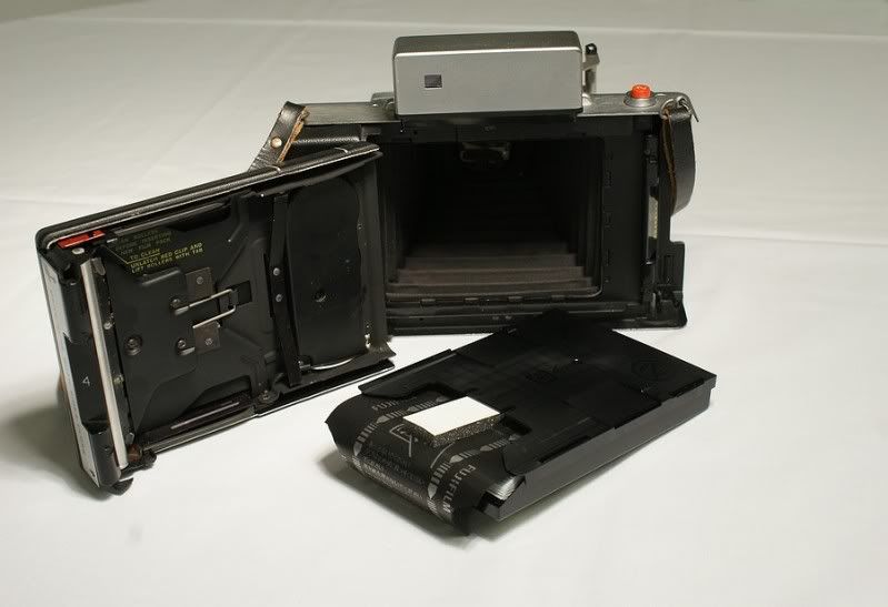 Fotografie
