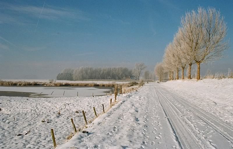 Fotografie