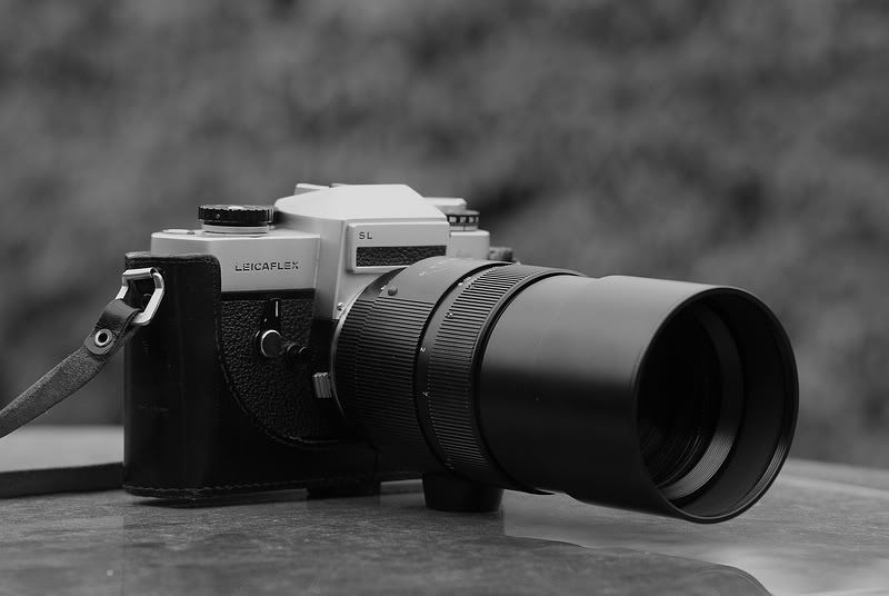 Fotografie
