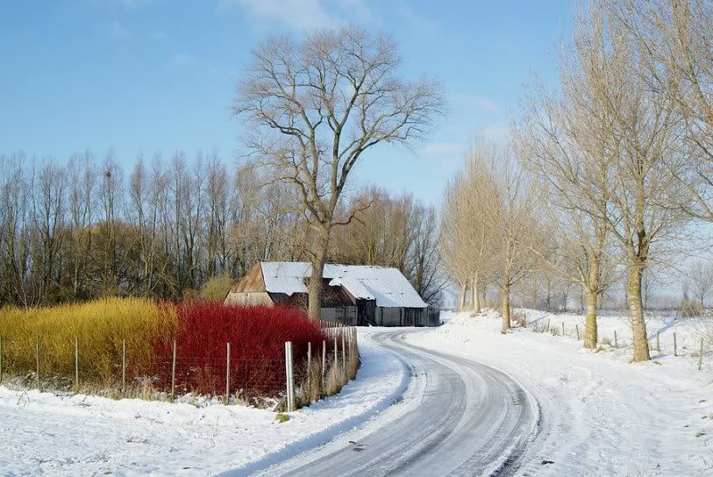 Fotografie