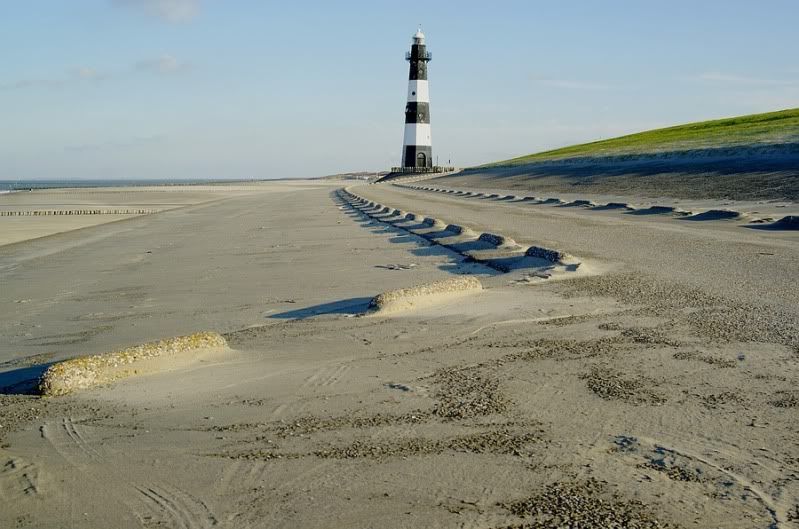 Fotografie
