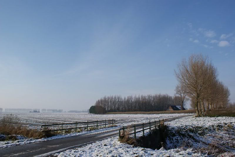 Fotografie