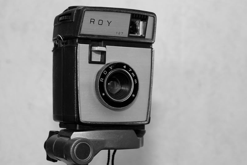 Fotografie