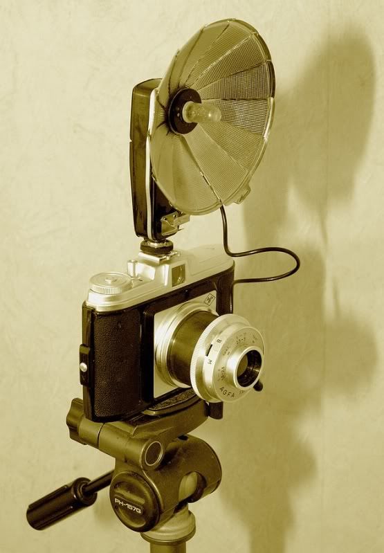 Fotografie