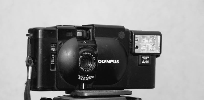 Fotografie